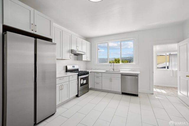 kitchen featuring a sink, light countertops, stainless steel appliances, and under cabinet range hood