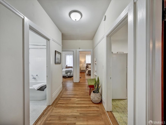 hall featuring light hardwood / wood-style floors