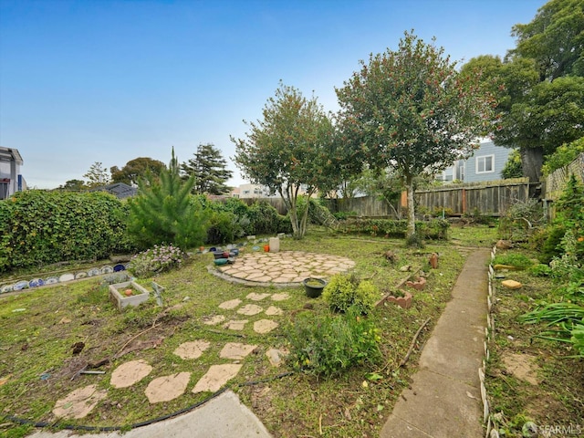 view of yard featuring a patio