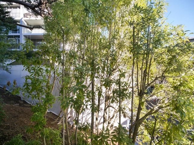 1340 Clay St Unit 403, San Francisco, CA 94109 - photo 20