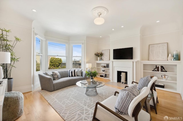 living room featuring light wood-type flooring