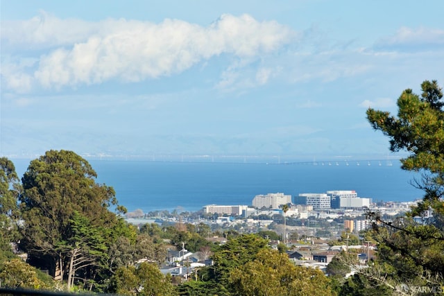 property view of water featuring a city view