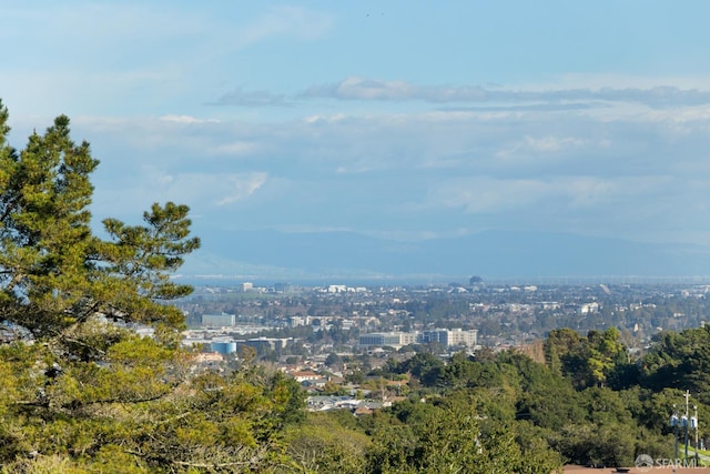 mountain view with a city view