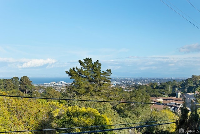 view of mountain feature with a forest view