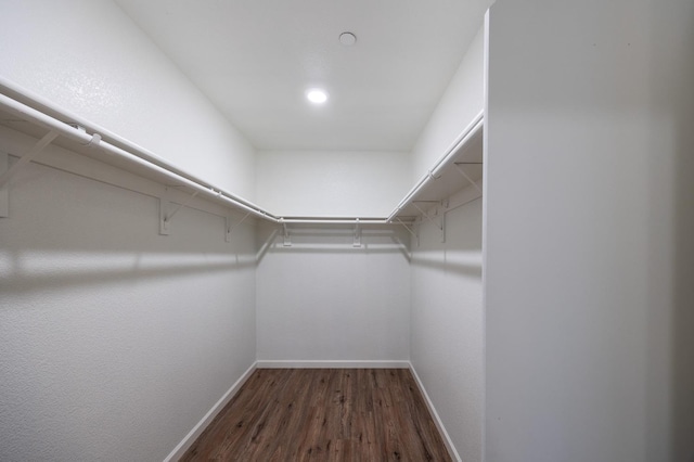 walk in closet with dark wood-type flooring