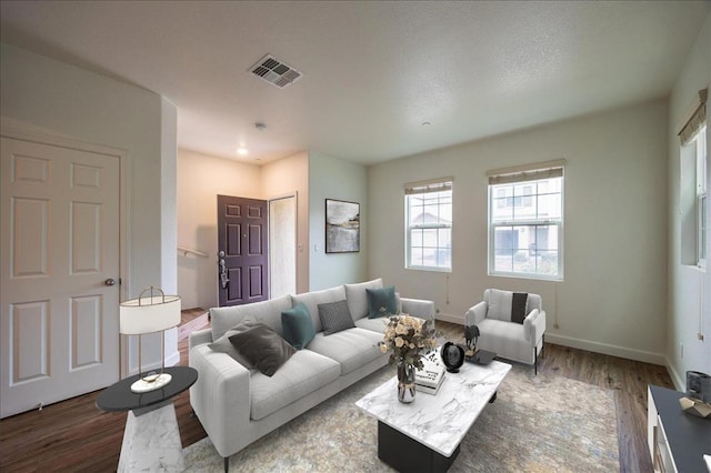 living room featuring wood-type flooring