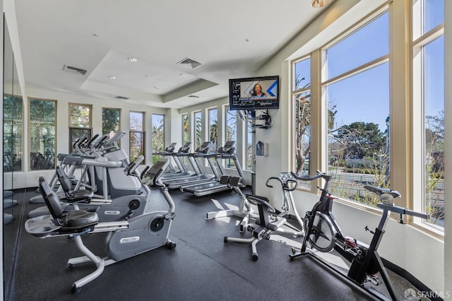 workout area featuring a raised ceiling