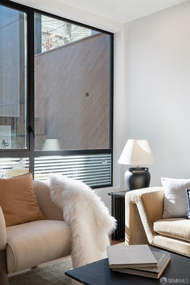 living area featuring a wealth of natural light and radiator heating unit