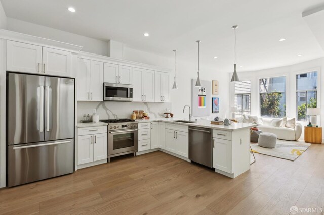 2237 Bryant St Lower, Lower, San Francisco, CA 94110 - kitchen featuring appliances with stainless steel finishes, a sink, a peninsula, open floor plan, and light countertops