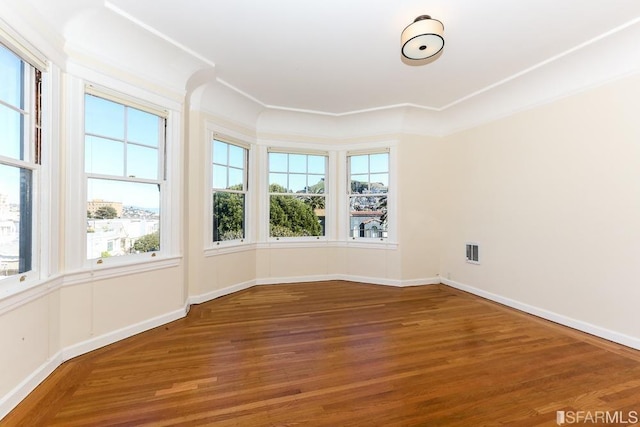 spare room with baseboards, wood finished floors, and a wealth of natural light