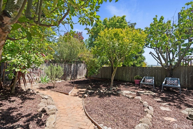 462 Clipper St, San Francisco, CA 94114 - view of fenced backyard