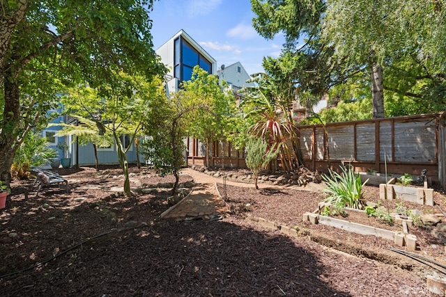 462 Clipper St, San Francisco, CA 94114 - view of yard with a vegetable garden