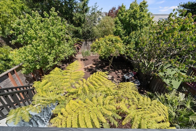 462 Clipper St, San Francisco, CA 94114 - view of yard