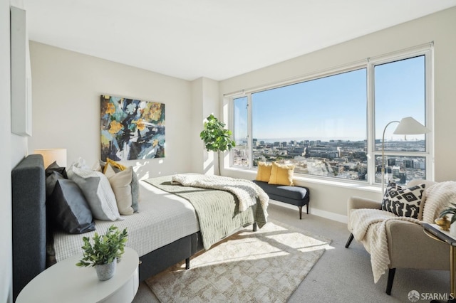 view of carpeted bedroom