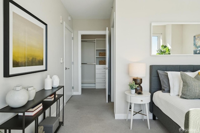 bedroom with a walk in closet, carpet flooring, and a closet