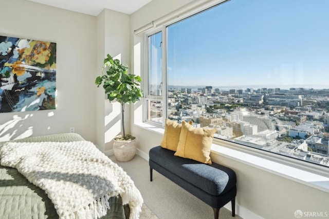 view of carpeted bedroom