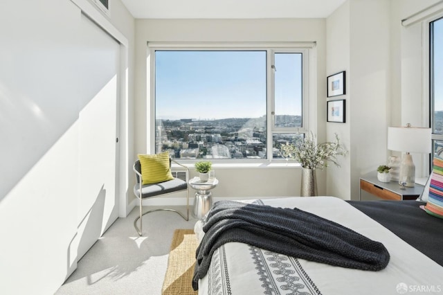 view of carpeted bedroom