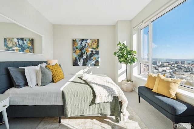 view of carpeted bedroom