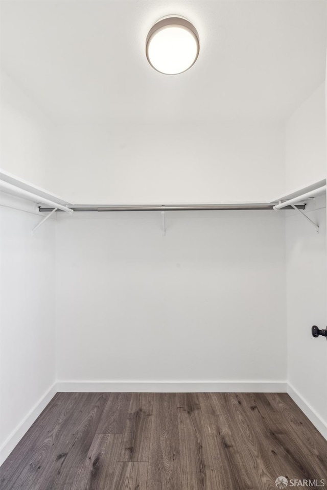 walk in closet with dark wood-type flooring