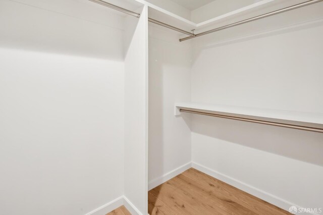 3653 California St, San Francisco, CA 94118 - photo 40