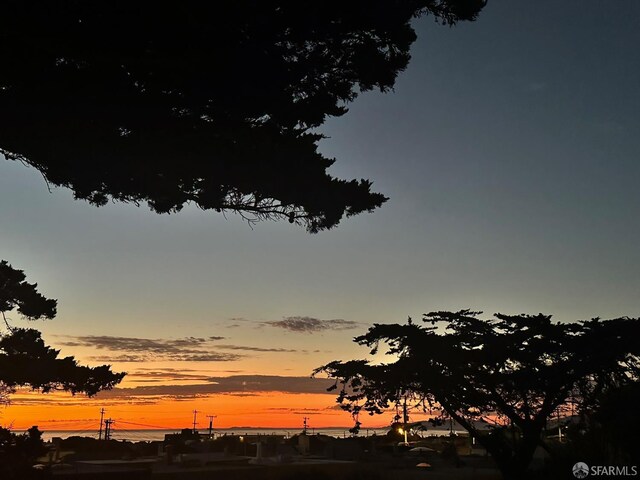 2543 44th Ave, San Francisco, CA 94116 - view of nature