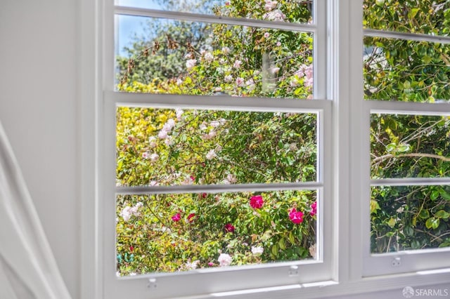 25 Roselyn Ter, San Francisco, CA 94118 - detailed view