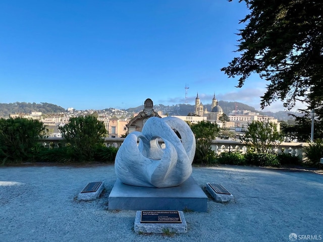 25 Roselyn Ter, San Francisco, CA 94118 - view of community
