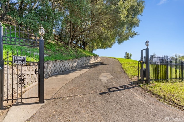 view of road featuring a gate, street lighting, driveway, and a gated entry