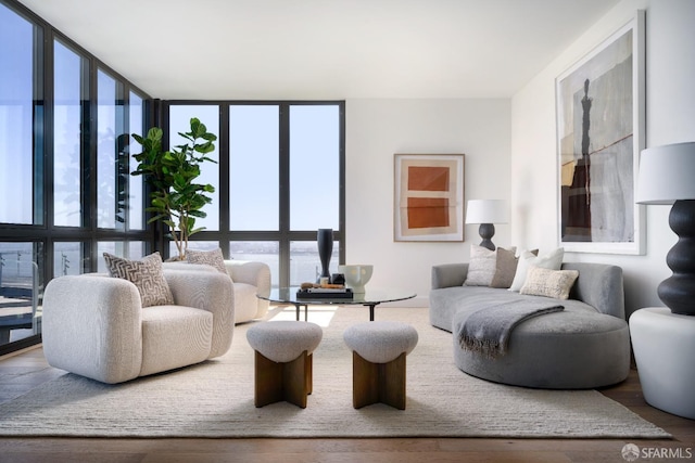 living room with wood-type flooring and a wall of windows