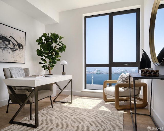 office area featuring a water view, plenty of natural light, and light hardwood / wood-style floors