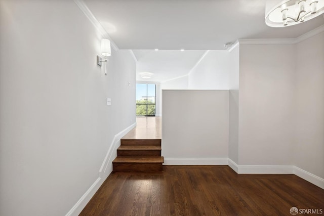 stairway featuring wood-type flooring and crown molding