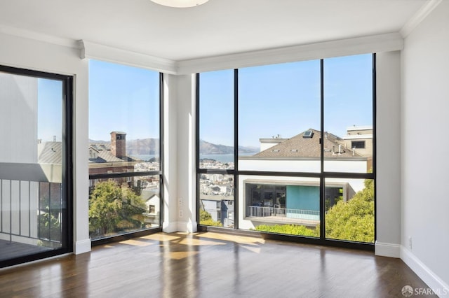 empty room with dark wood-type flooring and plenty of natural light