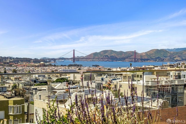 160 Bernard St, San Francisco, CA 94109 - photo 33