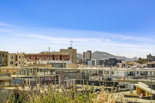 160 Bernard St, San Francisco, CA 94109 - photo 34