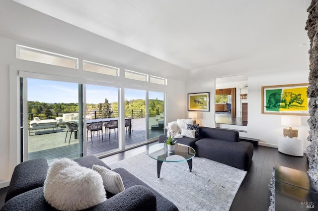living area featuring baseboards, hardwood / wood-style floors, and a healthy amount of sunlight