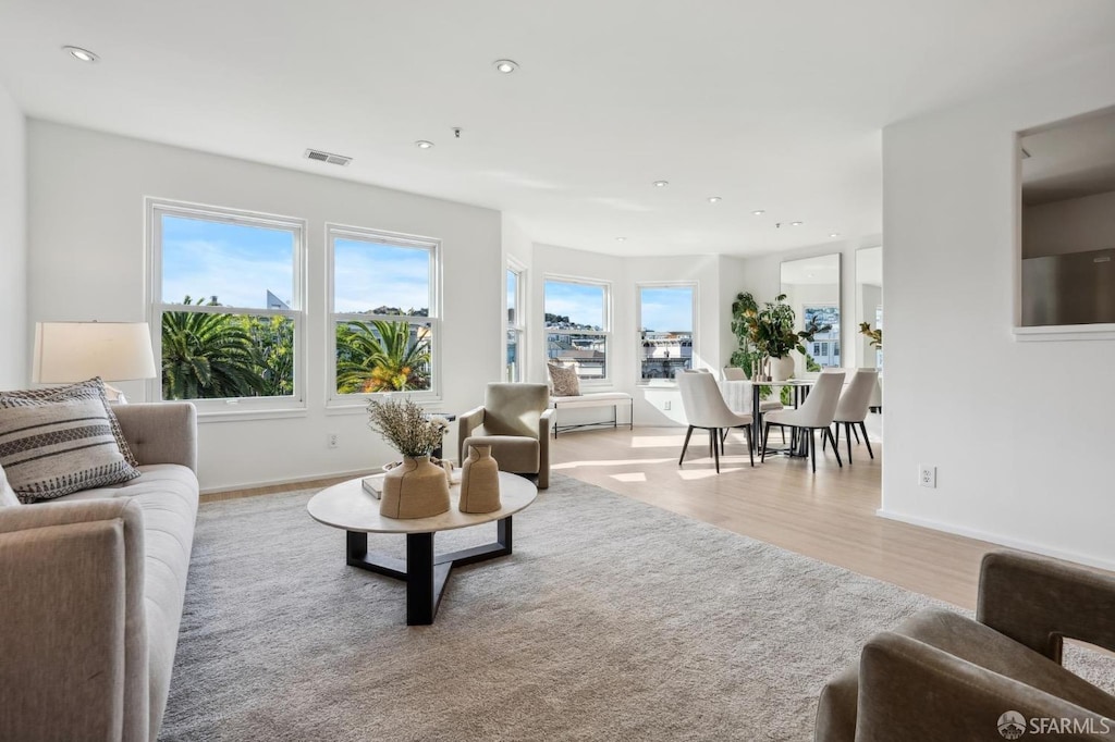 living room featuring light hardwood / wood-style flooring