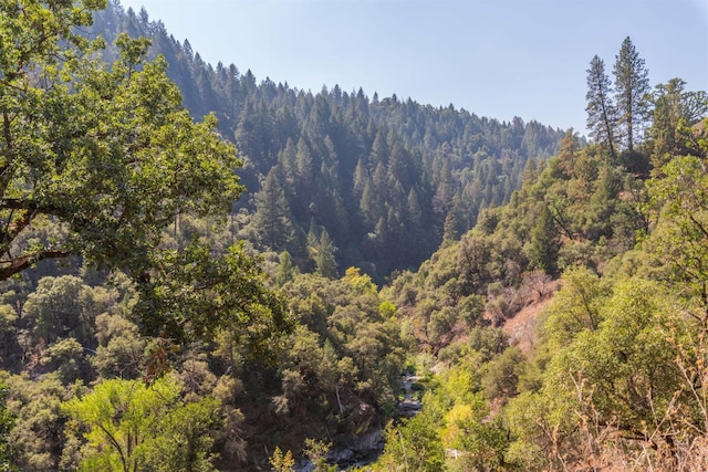 view of mountain feature featuring a wooded view