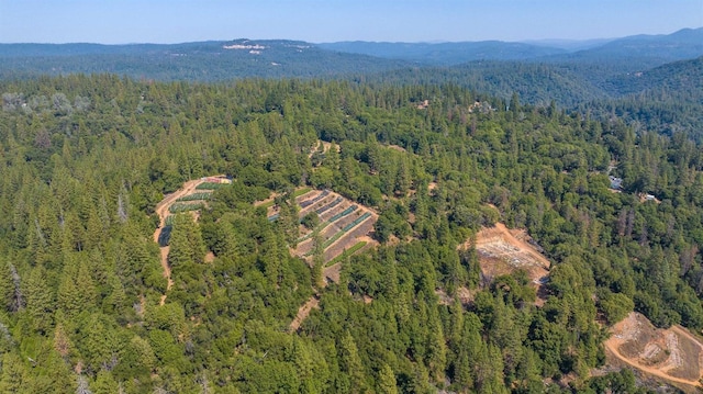 aerial view featuring a mountain view and a wooded view