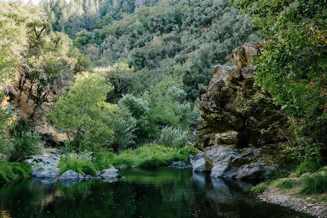 view of nature featuring a forest view