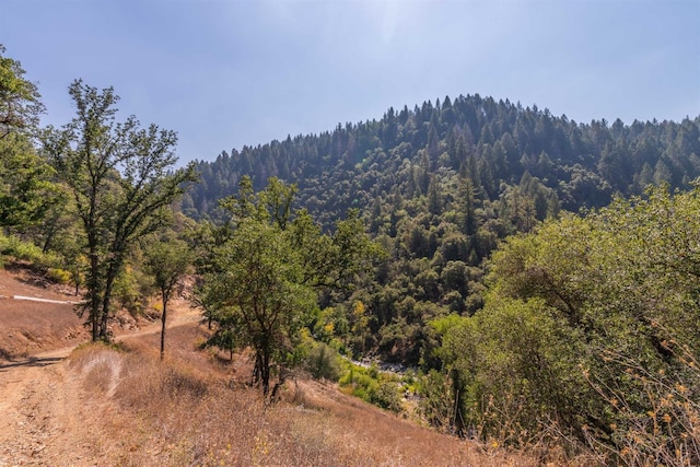 view of mountain feature featuring a wooded view
