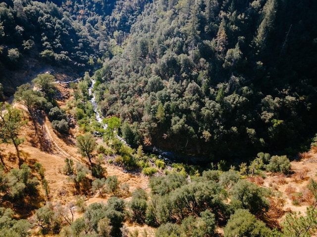 bird's eye view with a wooded view