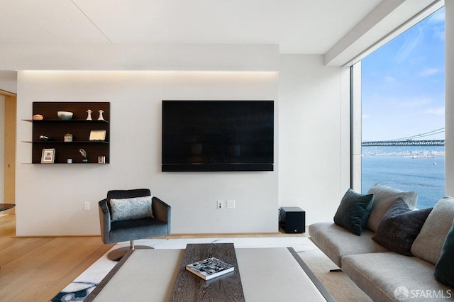 living room with light wood-type flooring