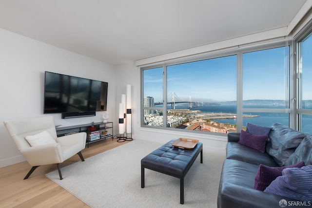 living room with hardwood / wood-style floors and a water view