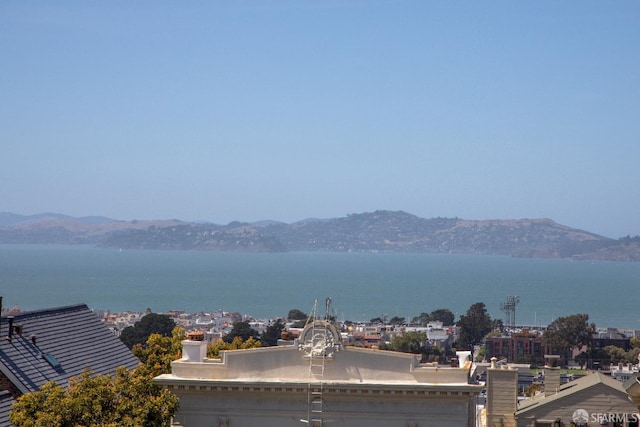 2040 Broadway St Unit 102, San Francisco, CA 94115 - photo 16