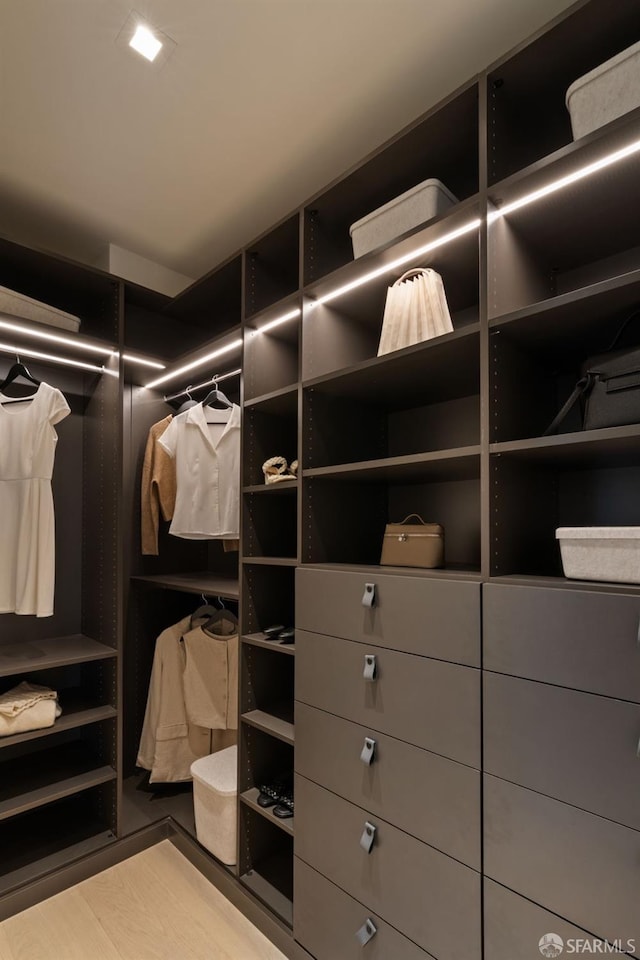 view of spacious closet
