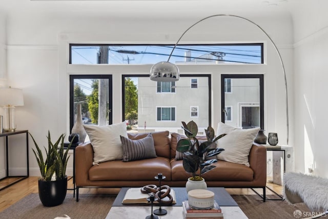 living area featuring wood finished floors