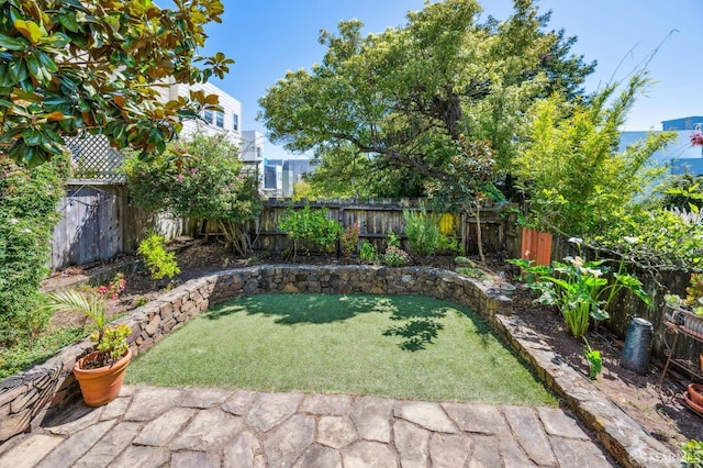 view of yard featuring a fenced backyard