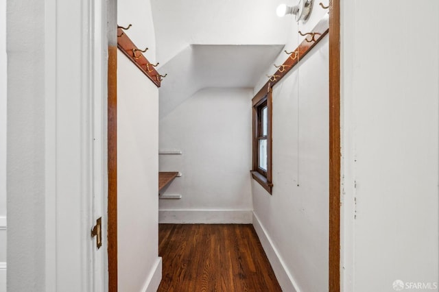 walk in closet with dark wood finished floors