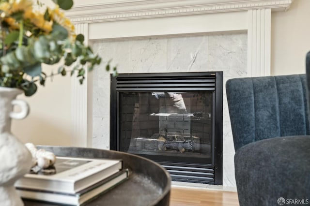 room details featuring wood finished floors and a premium fireplace