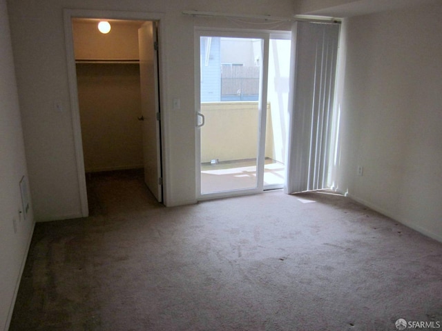 interior space featuring a walk in closet, a closet, and carpet flooring